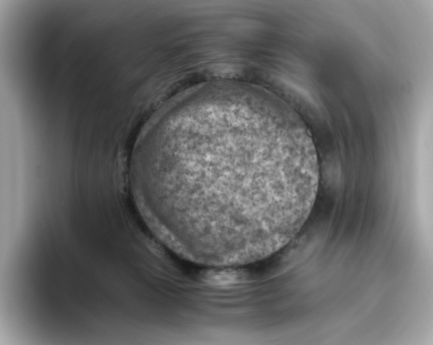 X0000093510181200711021034