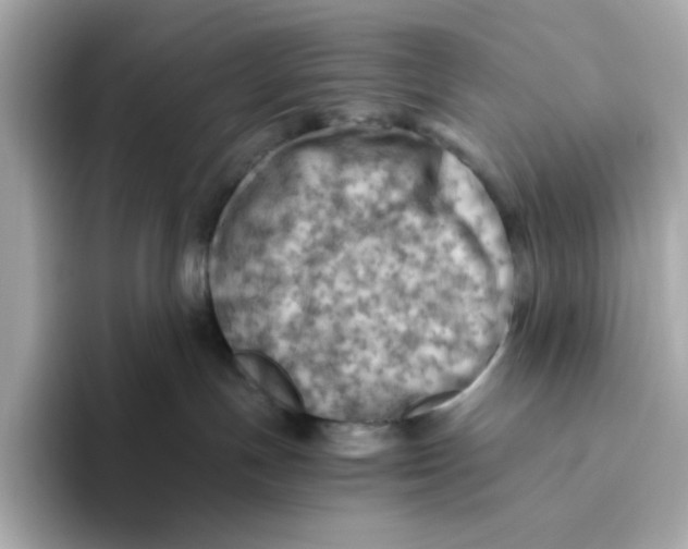 X0000093510191200711021034