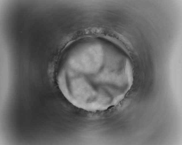 X0000093510192200711021034