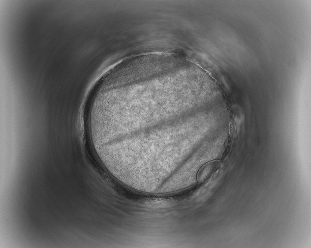 X0000093510198200711021034