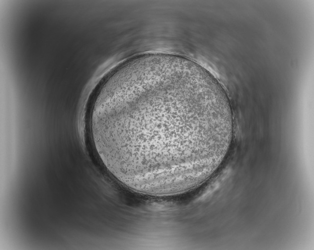 X0000093510199200711021034