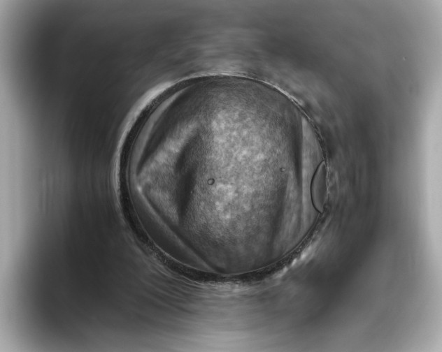 X0000093510200200711021034