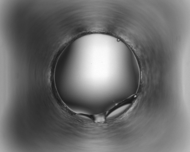 X0000093510201200711021034