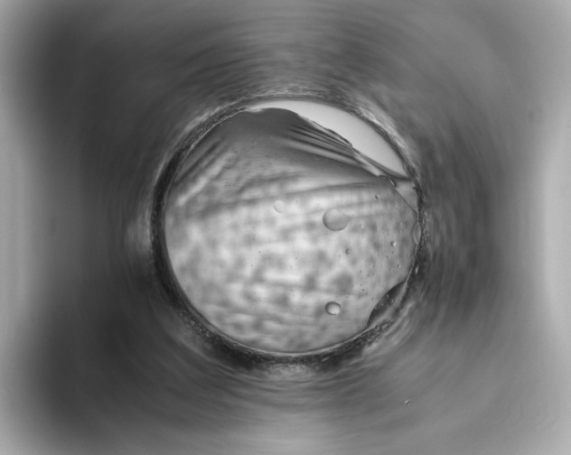 X0000093510203200711021034