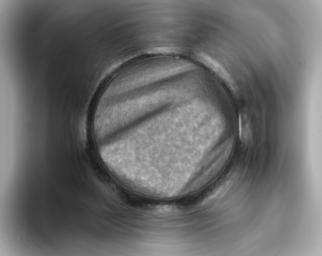 X0000093510204200711021034