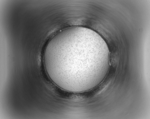 X0000093510207200711021034