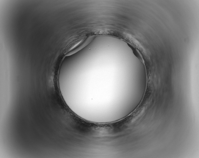 X0000093510209200711021034