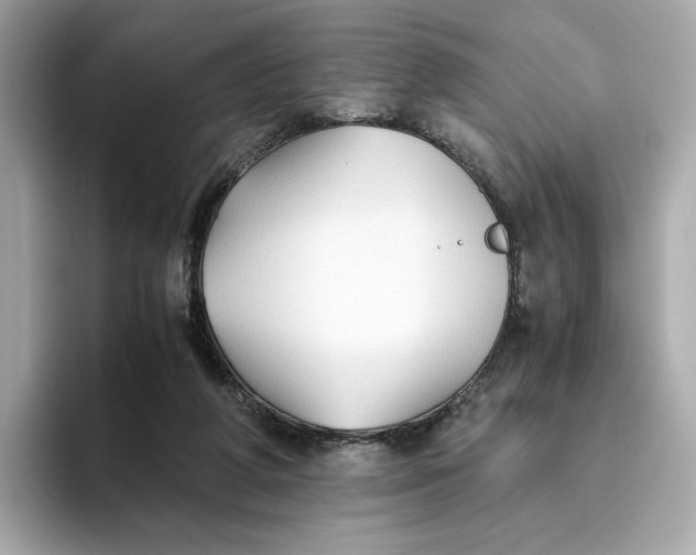 X0000093510210200711021034