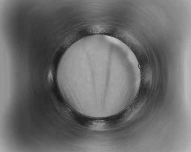 X0000093510214200711021034