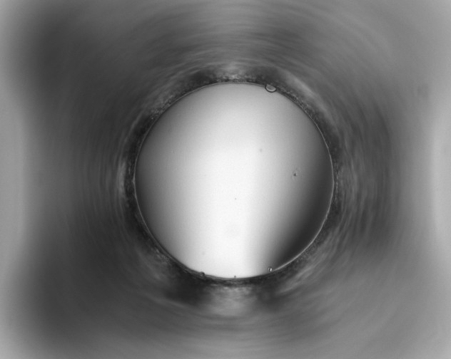 X0000093510217200711021034