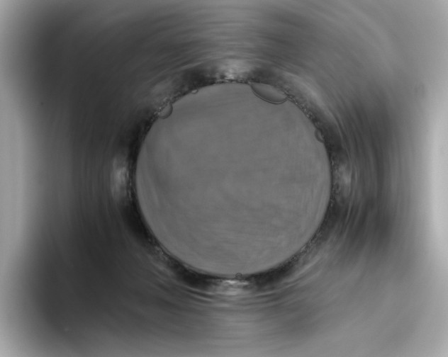 X0000093510222200711021033