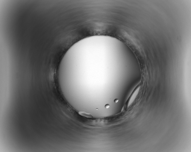 X0000093510225200711021033