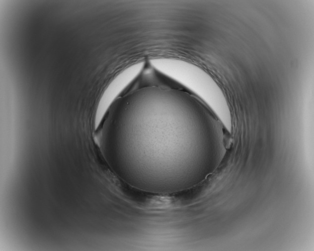 X0000093510227200711021033