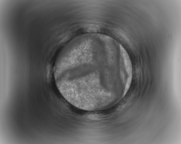 X0000093510228200711021033