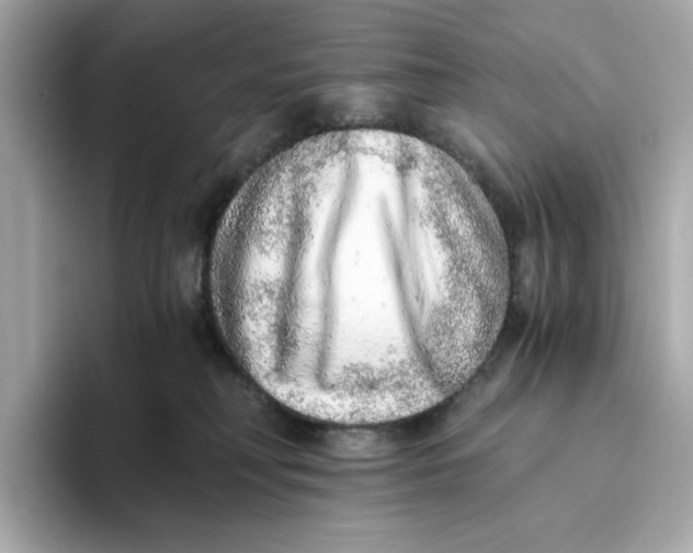 X0000093510230200711021033