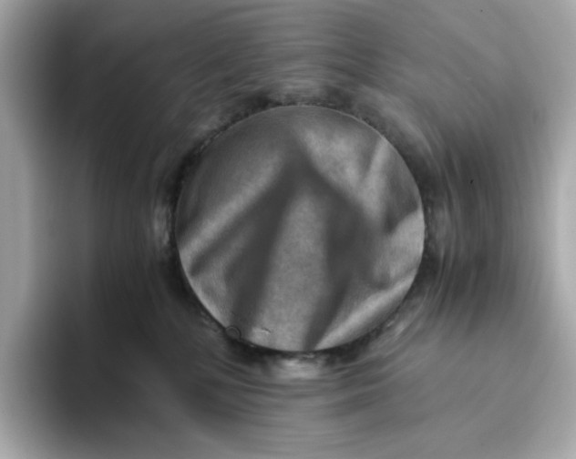 X0000093510232200711021033