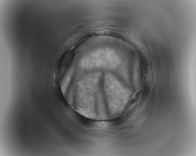 X0000093510233200711021033