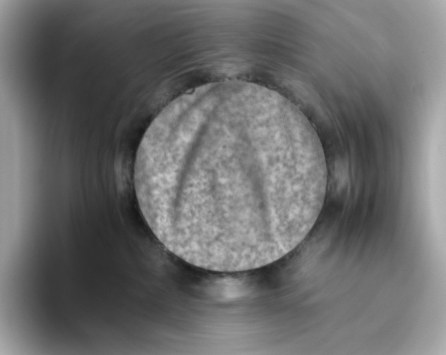 X0000093510236200711021033