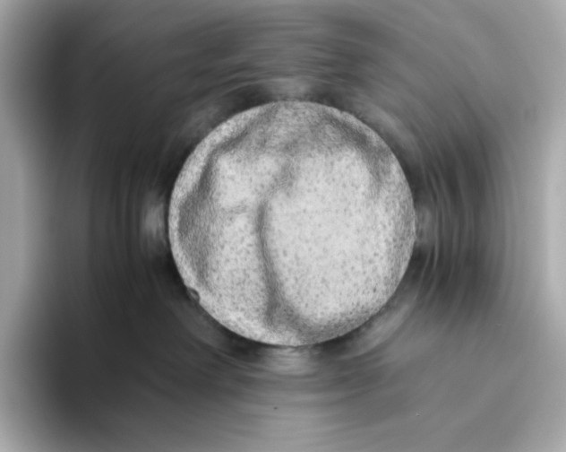 X0000093510238200711021033