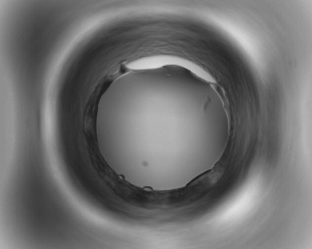 X0000093510239200711021033