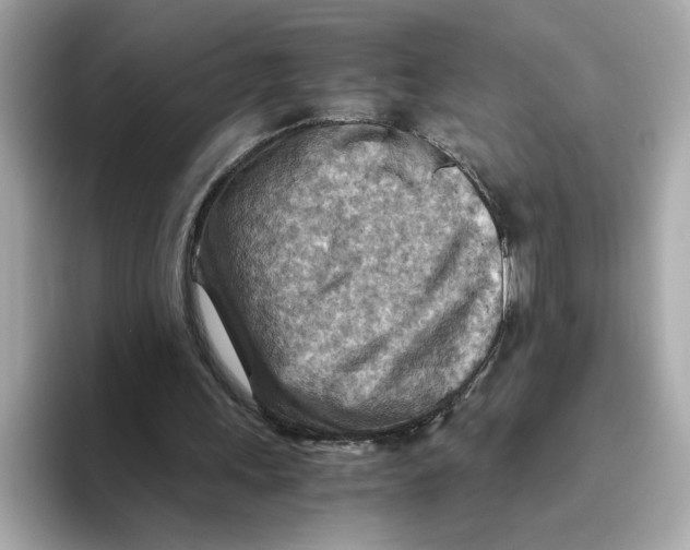 X0000093510243200711021033