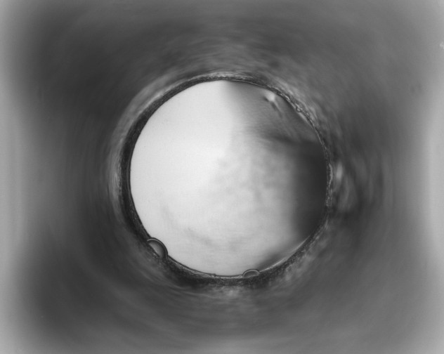 X0000093510247200711021033