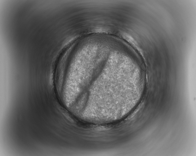 X0000093510249200711021033