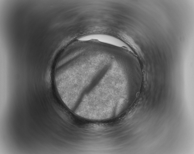 X0000093510250200711021033