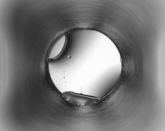 X0000093510256200711021033