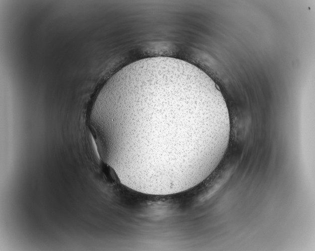 X0000093510259200711021033