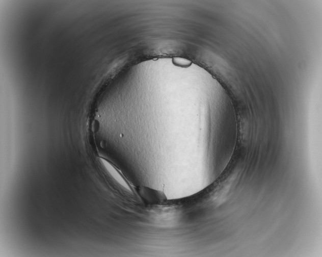 X0000093510260200711021033