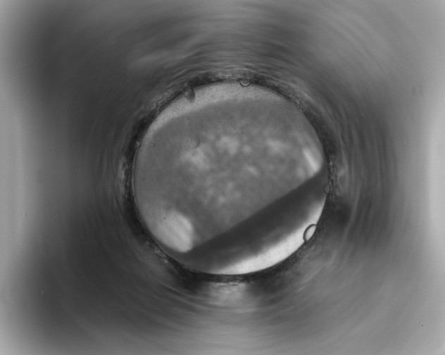 X0000093510266200711021033