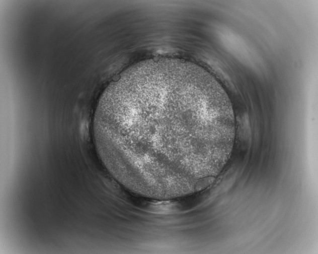 X0000093510269200711021033