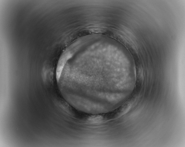 X0000093510271200711021033