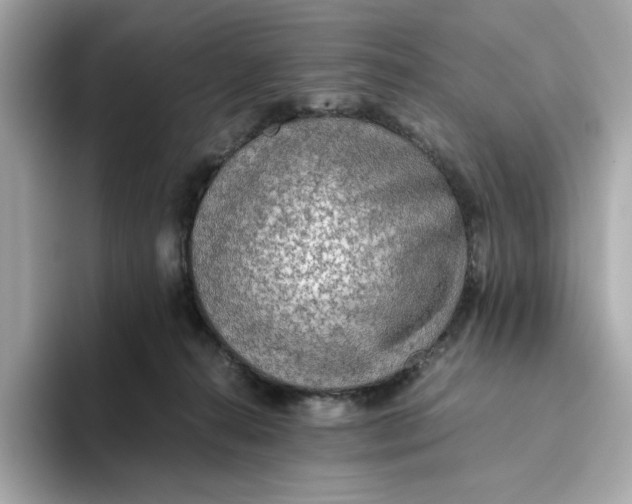 X0000093510272200711021033