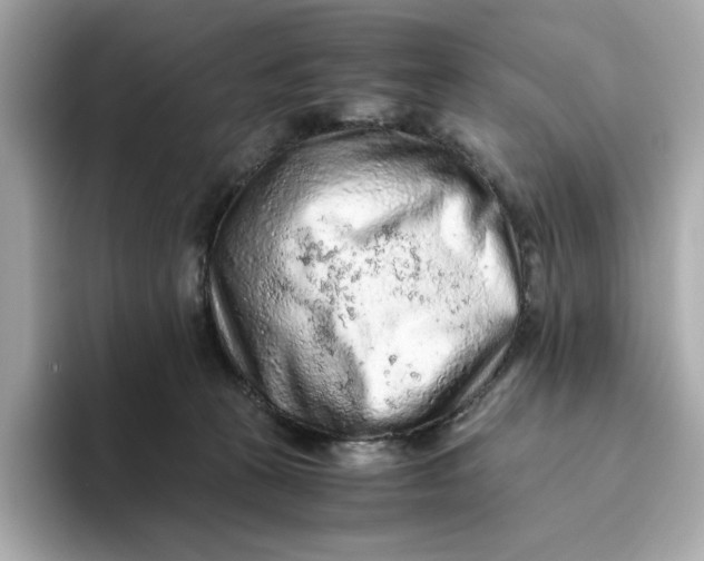 X0000093510273200711021033