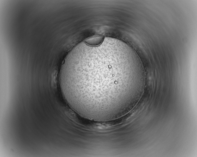 X0000093510275200711021033