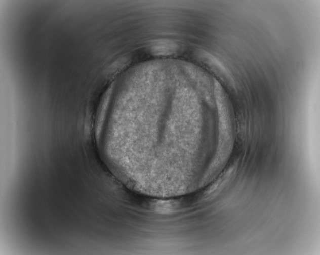 X0000093510277200711021033