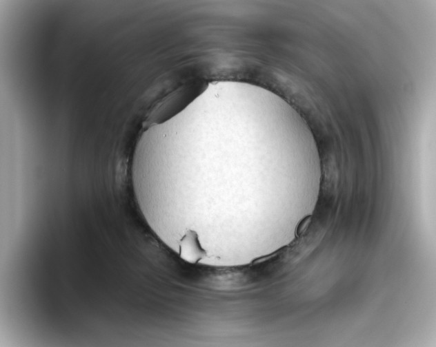 X0000093510278200711021033