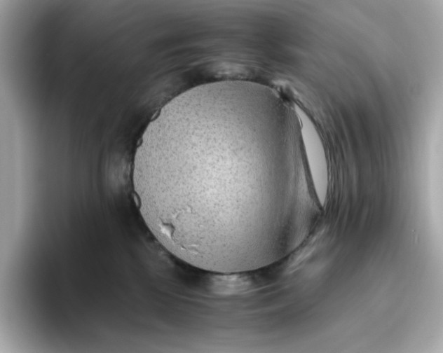 X0000093510281200711021033