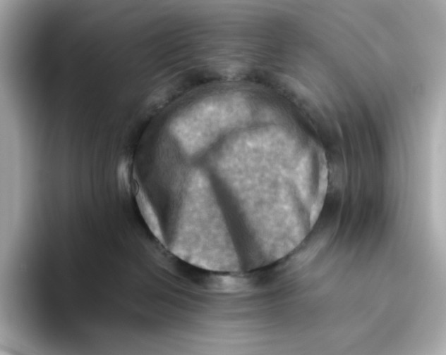 X0000093510286200711021033