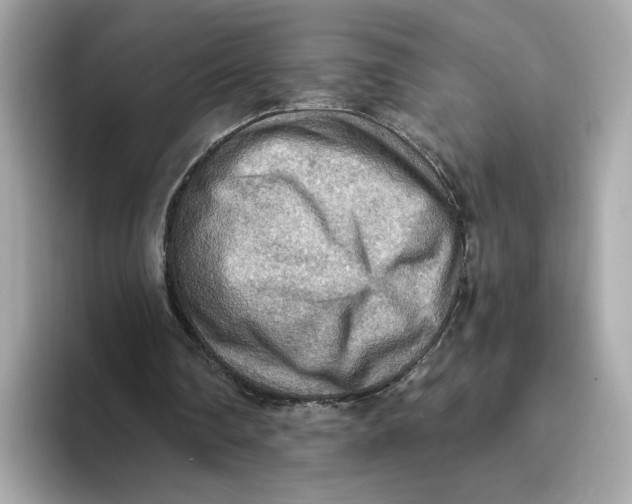 X0000093510290200711021033