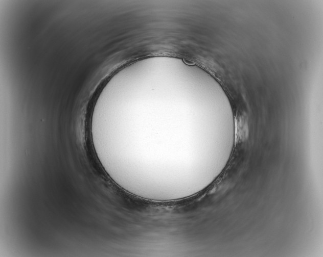 X0000093510291200711021033