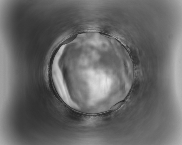 X0000093510293200711021033