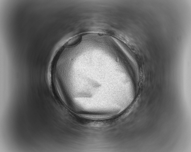 X0000093510294200711021033