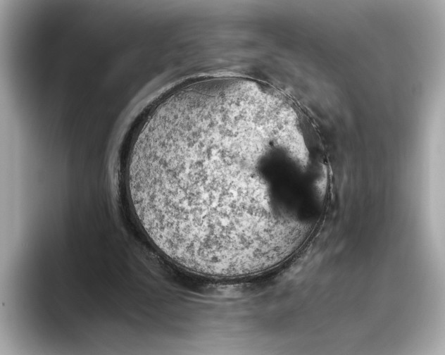 X0000093510295200711021033