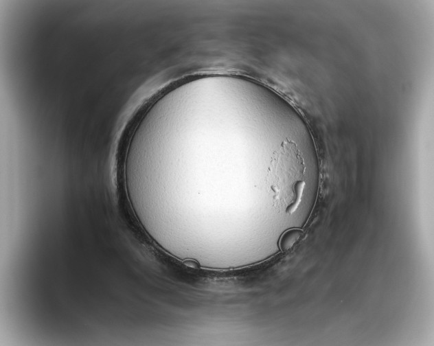 X0000093510296200711021033