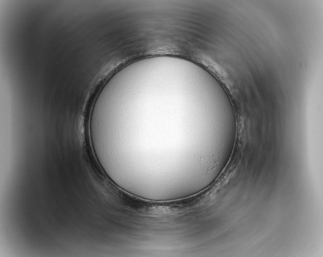 X0000093510298200711021033