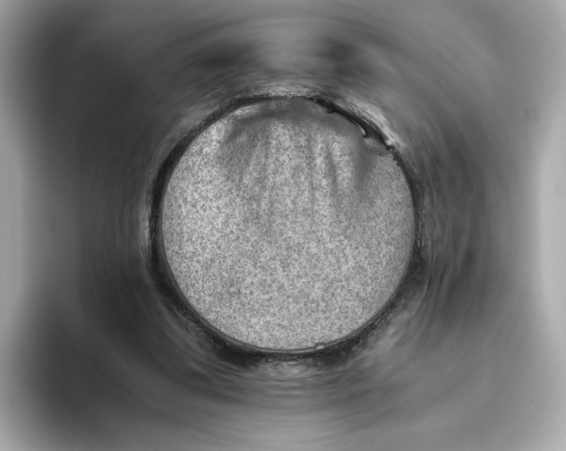 X0000093510299200711021033