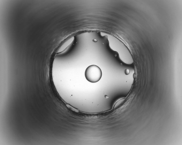 X0000093510301200711021033